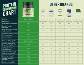 img 3 attached to 🌱 Lentein Clean Green Protein - Whole Food Vegan Plant Based Protein Powder - Vanilla Chai Flavor - 1.75lbs - Gluten Free - Only Plant Sourced B12 Protein Powder