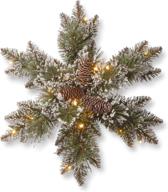 national tree company pre-lit artificial christmas hanging snowflake: green glittery bristle pine with pine cones, frosted branches, 18 inches - christmas collection logo