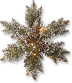 img 3 attached to National Tree Company Pre-Lit Artificial Christmas Hanging Snowflake: Green Glittery Bristle Pine with Pine Cones, Frosted Branches, 18 Inches - Christmas Collection