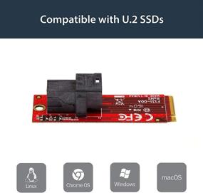 img 2 attached to 🔌 StarTech.com U.2 to M.2 Adapter – PCIe NVMe SSD Adapter for 1 U.2 Drive – M.2 PCIe x4 Interface – U.2 to M.2 PCIe Adapter – Enhanced U.2 SSD Converter (M2E4SFF8643)