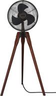 🌬️ fanimation fp8014ob arden collection dark finish pedestal fan: 20.91 inches, 120v, oil rubbed bronze – exceptional cooling solution логотип