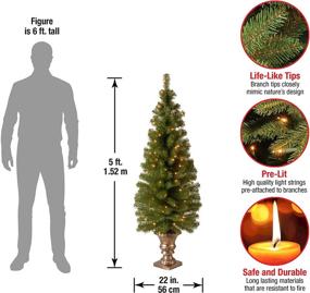 img 3 attached to 🎄 5 ft National Tree Company Montclair Spruce Pre-lit Artificial Christmas Tree for Entrances - Includes Pre-strung White Lights and Stand