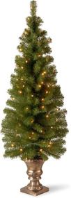 img 4 attached to 🎄 5 ft National Tree Company Montclair Spruce Pre-lit Artificial Christmas Tree for Entrances - Includes Pre-strung White Lights and Stand
