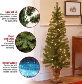 img 2 attached to 🎄 5 ft National Tree Company Montclair Spruce Pre-lit Artificial Christmas Tree for Entrances - Includes Pre-strung White Lights and Stand
