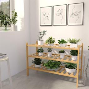 img 2 attached to 👠 BAMFOX 3-Tier Shoe Rack: Efficient Bamboo Stackable Storage Organizer for Entryway, Hallway, and Closet