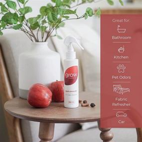 img 1 attached to 🍎 Revitalize Your Home with Grow Fragrance 100% Plant-Based Air + Fabric Freshener (Apple Pomander) - Limited Edition!