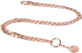 img 1 attached to 🐾 Premium Stainless Steel P Chock Metal Chain Dog Necklace Collars for Small Medium Large Dogs - Walking Training Pet Supplies by JYHY