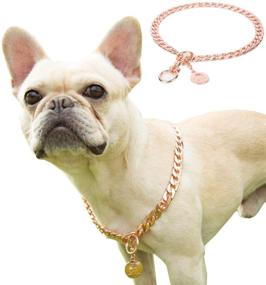 img 4 attached to 🐾 Premium Stainless Steel P Chock Metal Chain Dog Necklace Collars for Small Medium Large Dogs - Walking Training Pet Supplies by JYHY