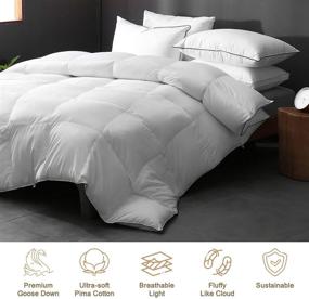 img 3 attached to 🛏️ DWR King Size Feathers Down Comforter - Ultra-Soft Pima Cotton Quilted, Fluffy All Season Warmth - 750 Fill-Power Luxury Hotel Bedding - Goose Down Comforter Duvet Insert with Ties - White (106x90 Inches)