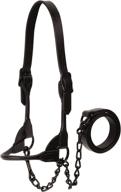 🐴 weaver leather magic halter for showmanship логотип