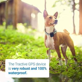 img 1 attached to Tractive 3G GPS Dog Tracker – Unlimited Range Dog Tracking Device