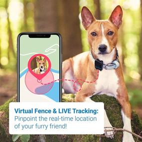 img 2 attached to Tractive 3G GPS Dog Tracker – Unlimited Range Dog Tracking Device