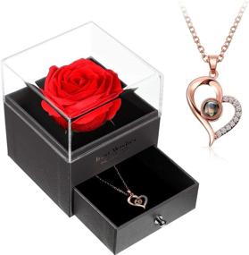 img 4 attached to 💖 I Love You Necklace 100 Languages Projection Heart Pendant Necklace: A Romantic Gift with Crystal Memories and Red Rose Jewelry Storage Box for Valentine's Day