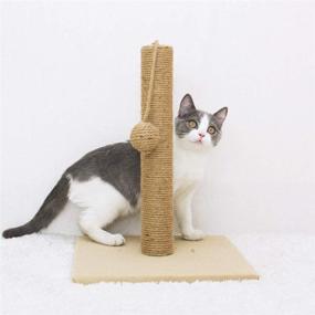 img 3 attached to 🐱 SOMNIA Cat Scratching Post: Interactive Toys, Sisal Scratch Post, Soft Plush Cover