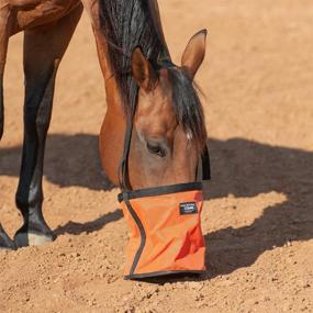 img 2 attached to Cashel Feed Draft Horse Colors Horses