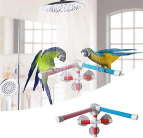 img 1 attached to 🐦 Hypeety Portable Suction Cup Perch Toy: Ideal for Bird Parrot Macaw Cockatoo African Greys Budgies Parakeet Bathing, Window and Shower Stand