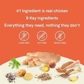 img 1 attached to 🐶 Canidae PURE Limited Ingredient Puppy Dry Dog Food: Chicken, Lentil & Whole Egg Recipe - Grain Free | Best for Healthy Puppy Nutrition