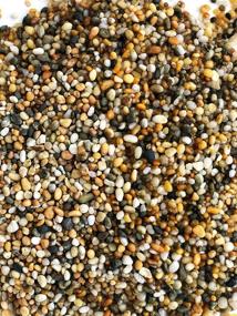 img 1 attached to 🐠 Premium Gold Pearl 10lb Gravel Substrate: Ideal for Vibrant Aquariums, Terrariums, and Vivariums