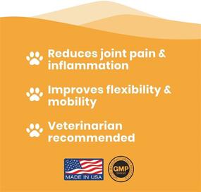 img 1 attached to 🐱 Paramount Pet Health Natural Glucosamine for Cats - MSM Arthritis Pain Relief - Cat Hip and Joint Supplement Liquid - 260mg Glucosamine Chondroitin for Cats