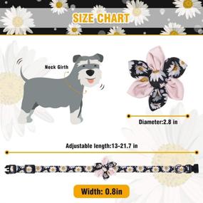 img 3 attached to Stylish and Functional: PUPTECK Spring 2 Pack Floral Dog Collar for Medium Large Dogs - Daisy and Sunflower, with Detachable Flower and Adjustable Size 13-21.7 in