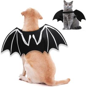 img 4 attached to 🦇 ITESSY Dog Halloween Costumes with Luminous Skeleton Bone Bat Wings - Perfect Cosplay Cat Costume Dress Up for Kitten & Puppies - Exclusive Apparel Accessories