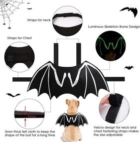 img 3 attached to 🦇 ITESSY Dog Halloween Costumes with Luminous Skeleton Bone Bat Wings - Perfect Cosplay Cat Costume Dress Up for Kitten & Puppies - Exclusive Apparel Accessories