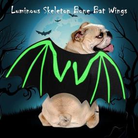 img 1 attached to 🦇 ITESSY Dog Halloween Costumes with Luminous Skeleton Bone Bat Wings - Perfect Cosplay Cat Costume Dress Up for Kitten & Puppies - Exclusive Apparel Accessories