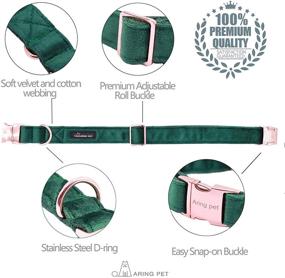 img 3 attached to 🐶 ARING PET Velvet Dog Collar and Leash Set: Luxuriously Soft and Adjustable Collars for Dogs