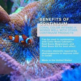 img 1 attached to 🌊 Continuum Aquatics Coral Color Intense H – Time-Released Halogen Supplement Enhancing Coral Coloration in Marine Reef Aquariums