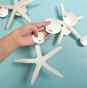 img 3 attached to 🌊 Украшение Decor365 Flat Paper White Finger Starfish Sea Shell Garland: идеальное океанское прибрежное парусное украшение для вечеринки с звездными резными узорами; висячий бант для подводного мира, дня рождения русалки и свадьбы на пляже.