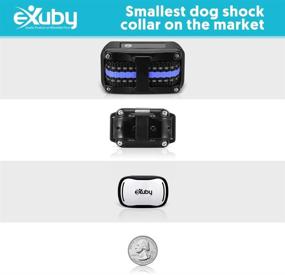 img 2 attached to 🐶 eXuby Tiny Dual Shock Collar: Compact Size, Powerful Features - Ultimate Control with Sound, Vibration, and Shock - 9 Levels of Intensity - Convenient Pocket-Size Remote - Extended Battery Life - Water-Resistant Design