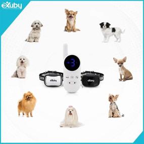 img 1 attached to 🐶 eXuby Tiny Dual Shock Collar: Compact Size, Powerful Features - Ultimate Control with Sound, Vibration, and Shock - 9 Levels of Intensity - Convenient Pocket-Size Remote - Extended Battery Life - Water-Resistant Design