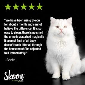 img 1 attached to 🐱 Skoon All-Natural Cat Litter, 8 lbs - Lightweight, Non-Clumping, Low-Maintenance, Eco-Friendly - Superior Liquids Absorption, Odor-Locking, and Sealing