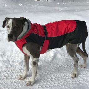 img 1 attached to Red and Black Alpine All-Weather Dog Coat by DOGGIE DESIGN