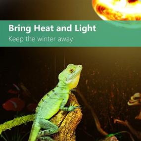 img 3 attached to 🦎 AMZCOOL UVB and UVA Reptile Heat Lamp Bulb (100W): Ideal Lighting Solution for Reptiles, Amphibians, and Birds
