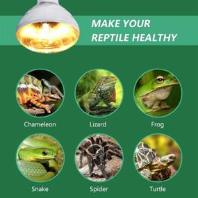 img 4 attached to 🦎 AMZCOOL UVB and UVA Reptile Heat Lamp Bulb (100W): Ideal Lighting Solution for Reptiles, Amphibians, and Birds