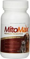 imagilin mitomax: advanced probiotics for 🐶 dogs and cats - 40 capsules per bottle logo