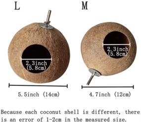 img 3 attached to 🥥 Unique Coconut Shell Bird House: Multi-functional Hamster House, Cage Toy, and Pet Supplies