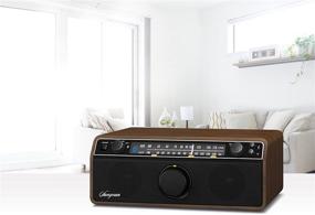 img 1 attached to 📻 Sangean WR-12BT AM/FM/Bluetooth/AUX-In Stereo Analog Wooden Cabinet Radio (Dark Walnut)" - Optimized Product Name: "Sangean WR-12BT AM/FM Bluetooth AUX-In Stereo Analog Wooden Cabinet Radio in Dark Walnut - Enhanced for SEO