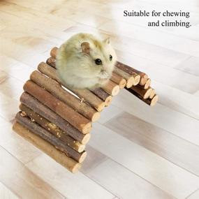 img 3 attached to 🐹 Yosoo Wooden Hamster Bridge - Natural Suspension Ladder for Dwarf Syrian Hamster Toy - Long Climbing Ladder - Chew Toy for Hamsters, Reptiles, Mice, and Rodents