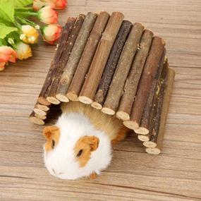 img 4 attached to 🐹 Yosoo Wooden Hamster Bridge - Natural Suspension Ladder for Dwarf Syrian Hamster Toy - Long Climbing Ladder - Chew Toy for Hamsters, Reptiles, Mice, and Rodents