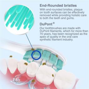 img 2 attached to 🦷 Value Pack of 8+2 Brushmo Replacement Toothbrush Heads Compatible with Philips Sonicare Electric Toothbrush