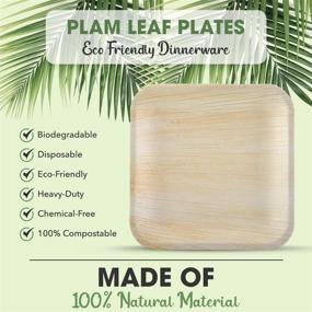 img 2 attached to Palm Leaf Plates Disposable Dinnerware