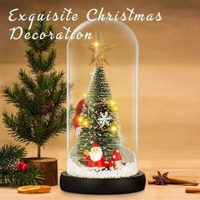 img 1 attached to Exquisite Glass Dome Christmas Tree: Aesthetic Tabletop Christmas Tree with Lights for Festive Living Room and Bedroom Decor, Ideal Gifts for Women, Kid's, and Friends