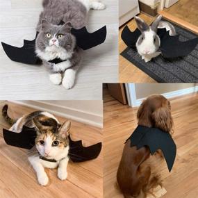 img 2 attached to 🦇 Spooky Halloween Fun: Cat Bat Wings Costume for Small Dogs and Kittens!