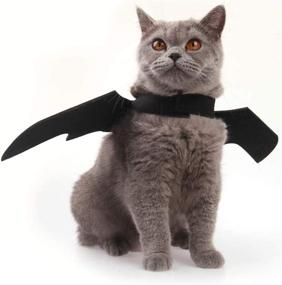 img 3 attached to 🦇 Spooky Halloween Fun: Cat Bat Wings Costume for Small Dogs and Kittens!