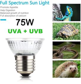 img 1 attached to OMAYKEY 3-Pack 75W Full Spectrum Sun Lamp for Lizard Reptiles and Amphibians - UVA + UVB Heat Bulb
