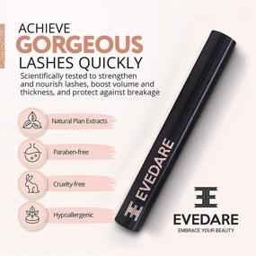 img 2 attached to 💁 EVEDARE Enhanced Eyelash Growth Serum - Advanced Formula with Peptides, Botanical Vitamins for Longer, Thicker, Fuller Lashes - Natural Extracts Improve Strength & Reduce Brittleness (3ML)