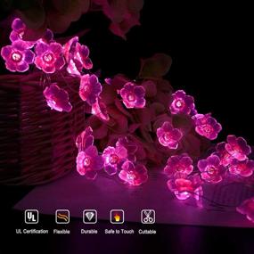 img 1 attached to 🌸 Vibrant Multicolor Flower Lights: Battery Operated & USB Powered 13ft String Lights with Remote Control Timer - Perfect for Nursery, Bedroom, Wedding Decor and More!