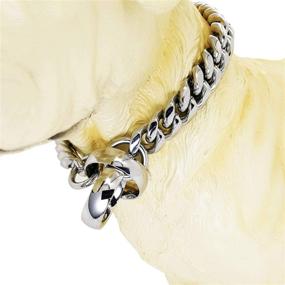 img 2 attached to 🐶 ToBeTrendy Heavy Duty Cuban Link Dog Collar - Silver Stainless Steel Chain Links 14MM - Ideal for Medium to Large Dogs - 16inches to 26inches